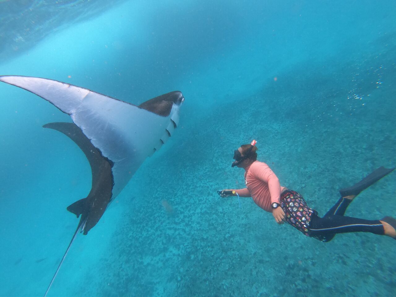 Snorkeling with a manta ray in the waters of Nusa Penida